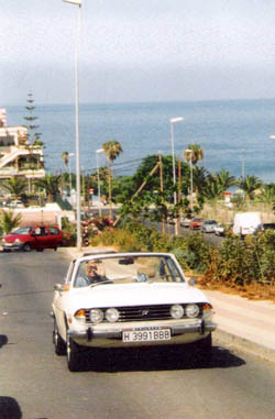 Terry's Triumph Stag