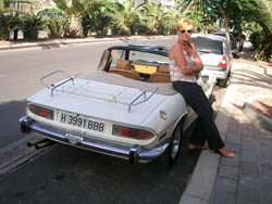 Terry's Triumph Stag