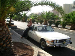 Terry's Triumph Stag